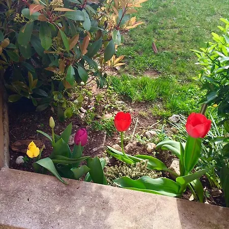 Papere E Tulipani Apartment