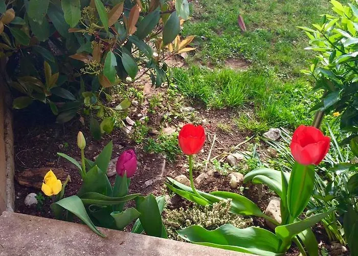 Papere E Tulipani Apartment